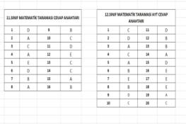 11 ve 12.Sınıflar Matematik Taraması Cevap Anahtarı